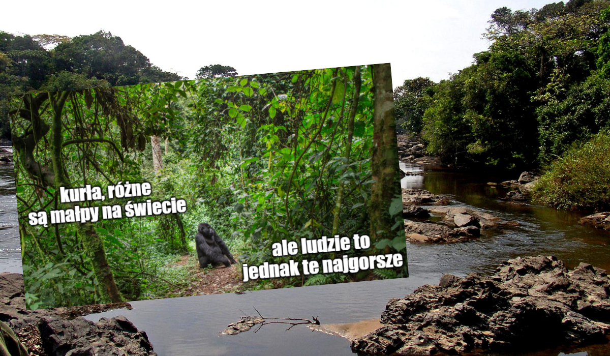 Kongo wystawiło swoje ogromne lasy deszczowe pod wydobycie ropy i gazu, chociaż doprowadzi do ekokatastrofy