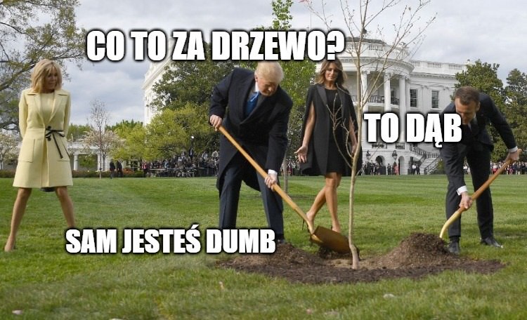 2018: Trump i Macron zasadzili drzewo przyjaźni. 2019: drzewo uschło