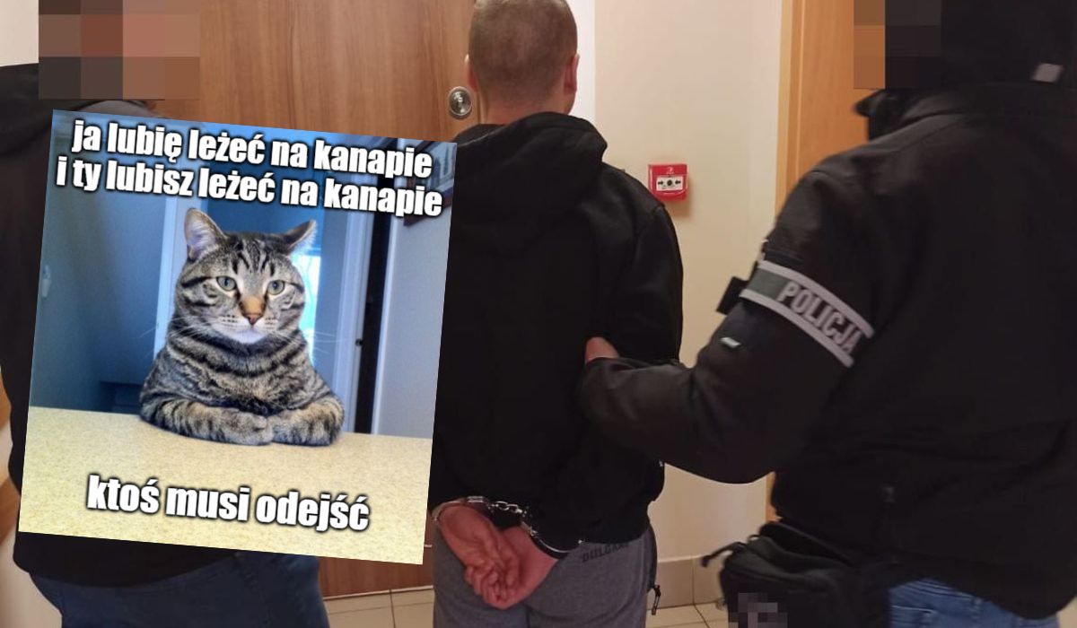 Lublin: kot wskazał ukrywającego się w szafie właściciela, bo na nią patrzył