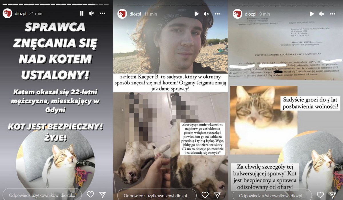 Gość znęcał się nad kotem i anonimowo wrzucał zdjęcia, ale udało się ustalić jego tożsamość