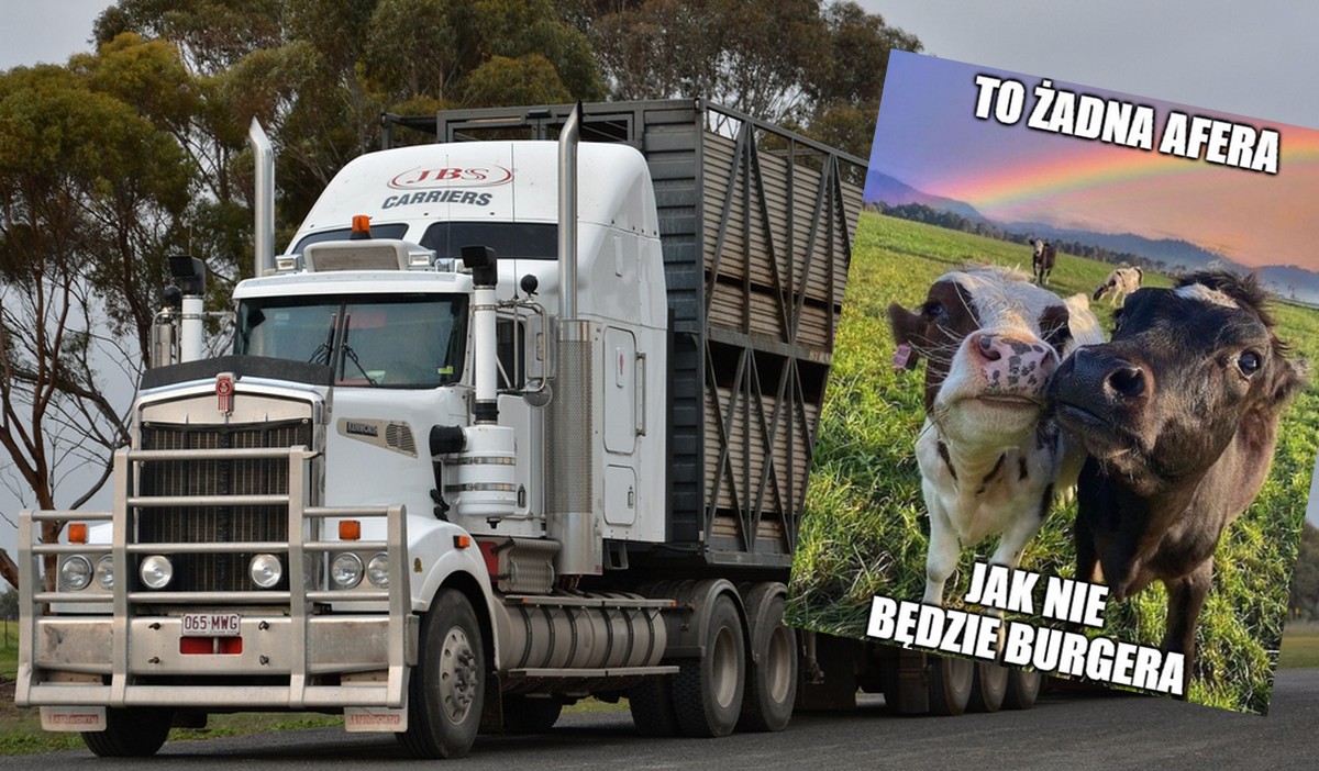 Największy na świecie producent mięsa zaatakowany przez hakerów, zakłady stanęły w trzech miejscach