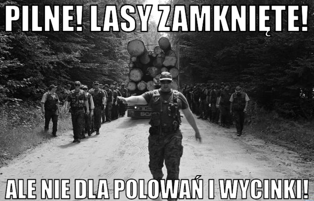 Lasy Państwowe zamknięte na wszystkich i wszystko, poza polowaniami i wycinką