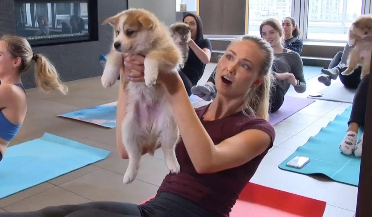 Włochy: joga ze szczeniaczkami zakazana z troski o właściwe traktowanie maluchów