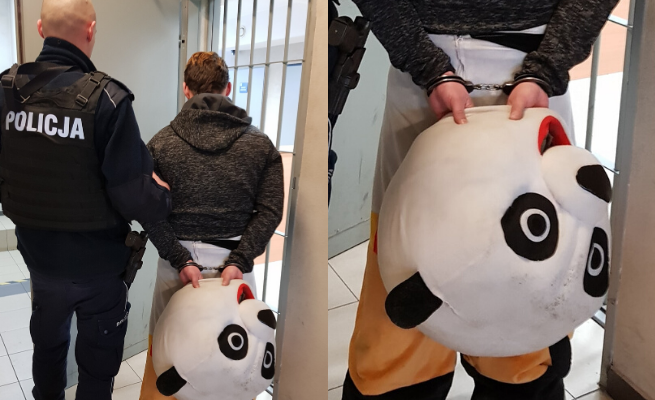 Zakopane: policjanci zatrzymali wściekłego mężczyznę przebranego za uśmiechniętą pandę