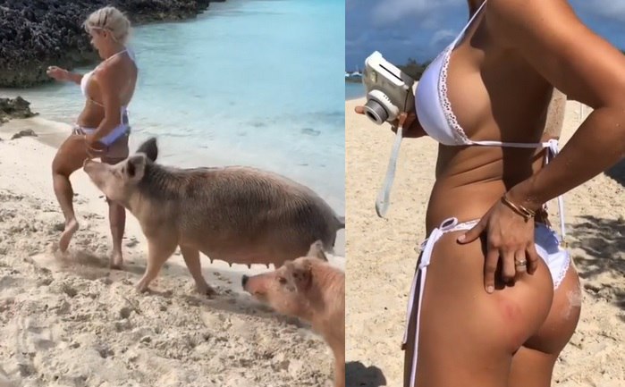 
Wenezuelska instagramerka ugryziona przez dziką świnię na Bahamach
