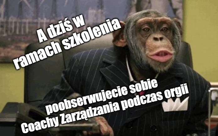 Coach zarządzania zabrał 60 menedżerów McKinsey na małpią o*gię, żeby "inspirowali się zachowaniem małp"