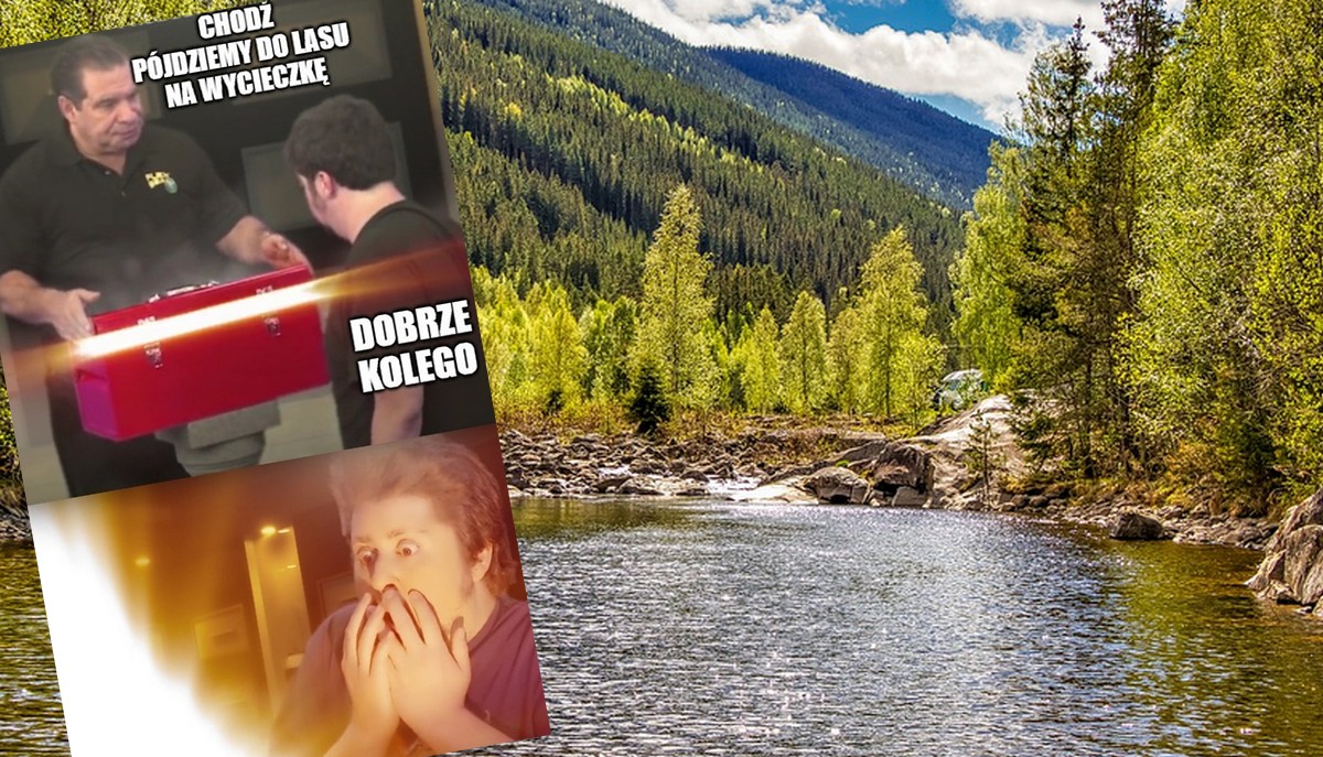 Norwegia: turyści znaleźli skarb w lesie, ale taki w gotówce