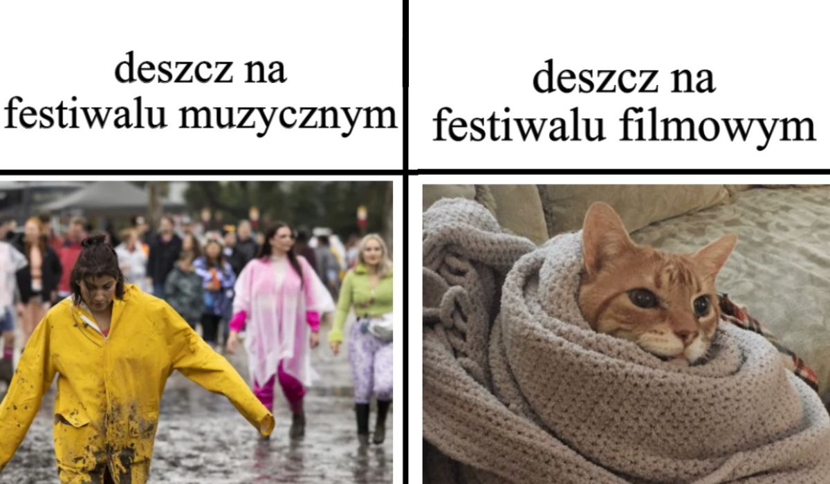 Rozmawiamy z Alicją z Nowych Horyzontów i zastanawiamy się, czy fajnie jest pojechać na taki festiwal filmowy