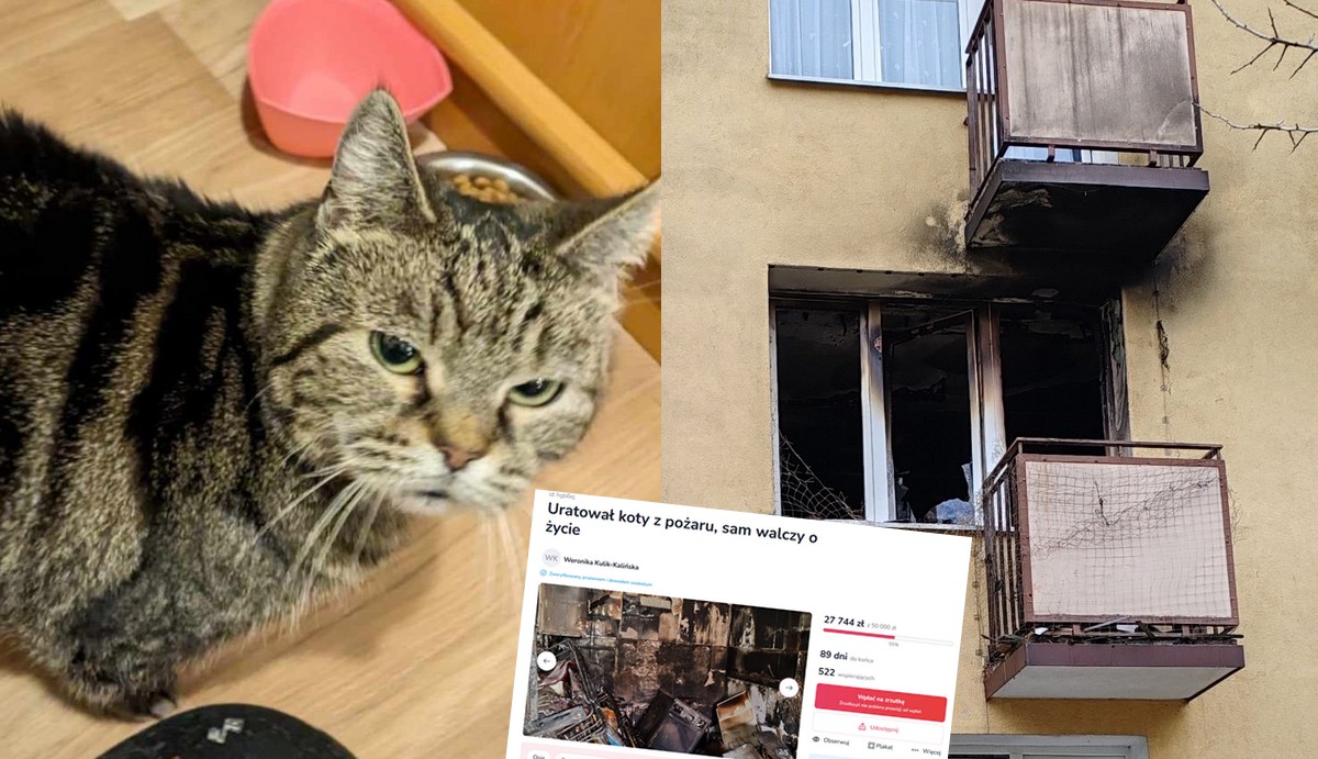 Pan Władek wrócił do płonącego mieszkania, żeby uratować dwa koty, teraz walczy o życie w szpitalu