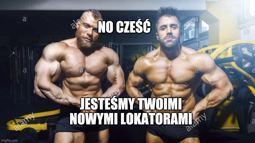 Lokator nie płacił czynszu właścicielowi, dokwaterowano mu dwóch karków i pitbulla