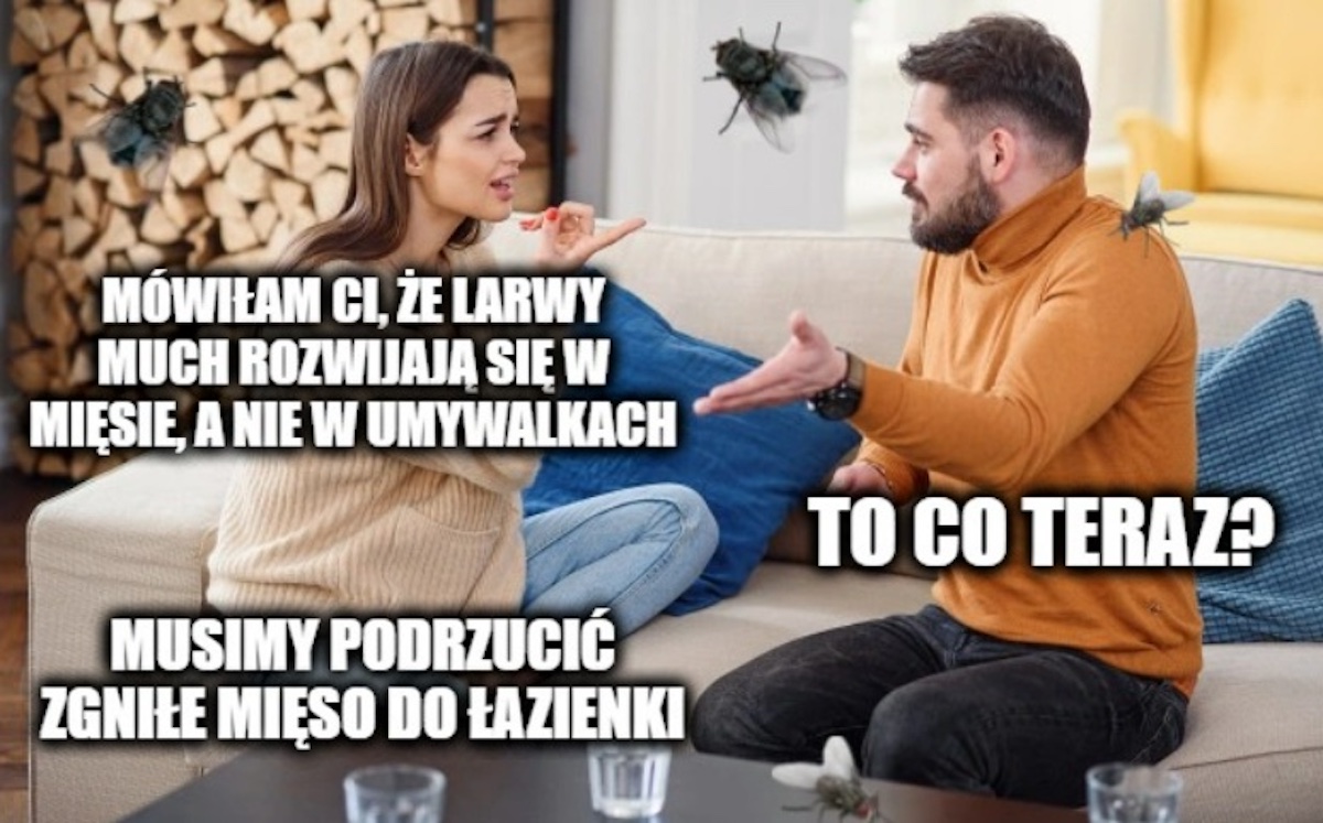Tarnów: sprytna para nie chciała płacić za pokój w hotelu, więc podrzuciła larwy w łazience