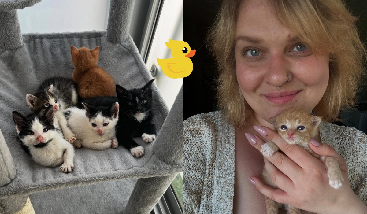 Rozmawiamy z Magdą, która prowadzi dom dla zwierzęcych osesków i pytamy, jak to się robi