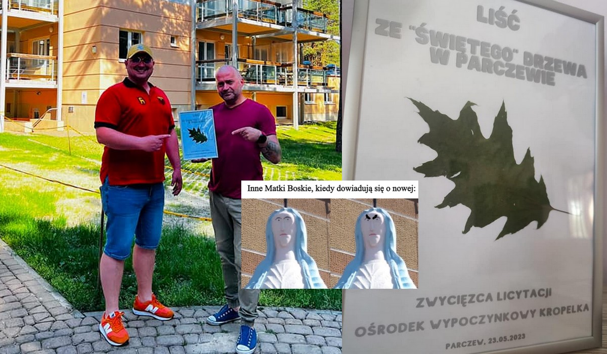 Liść ze świętego drzewa w Parczewie został sprzedany, pieniądze zasilą psychiatrię dziecięcą