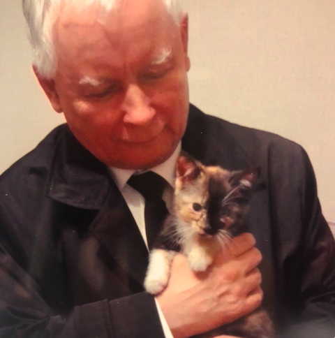 Kitkowe ocieplanie wizerunku prezesa Kaczyńskiego:jarek: