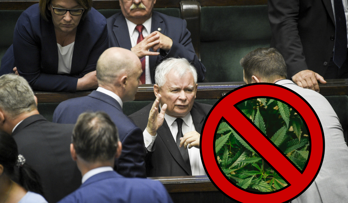 PiS nie chce ulżyć chorym i odrzucił ustawę o medycznej marihuanie w całości i od razu