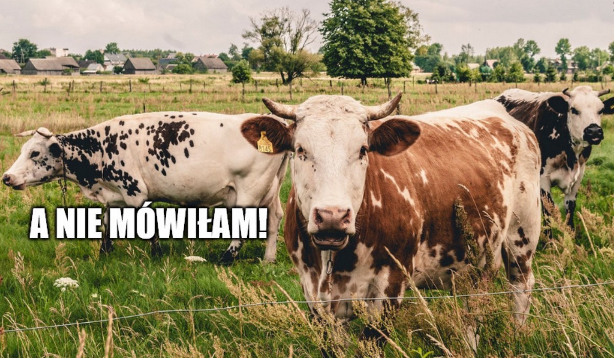 Badanie: wielkie miasta okazują się emitować więcej metanu, niż zakładano