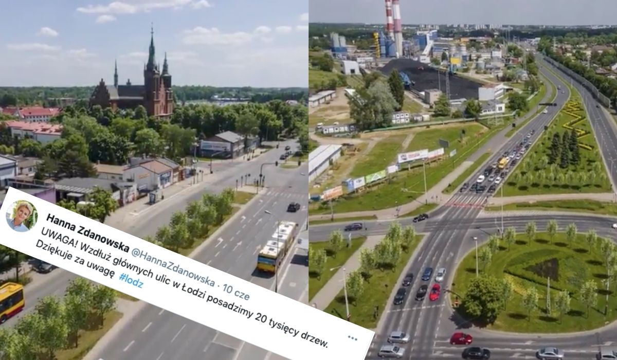 Łódź inwestuje w drzewa, żeby dało się żyć, w planach 20 000 nasadzeń