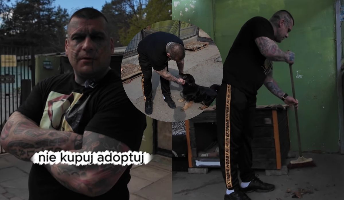 Popek wziął się za działalność charytatywną, pomaga w schronisku i poleca psy do adopcji 