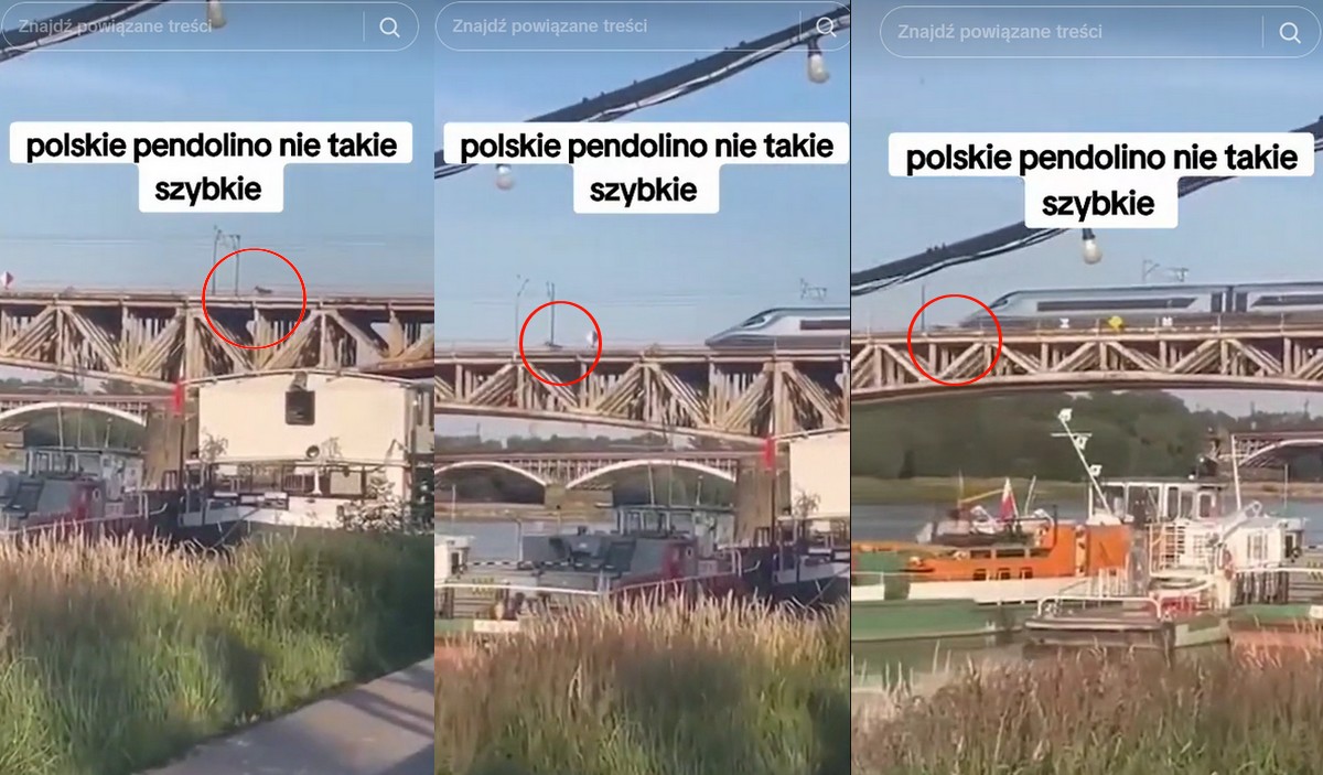 Warszawa: Pendolino prawie potrąciło łosia, który wszedł sobie na most, ale maszynista zdążył wyhamować