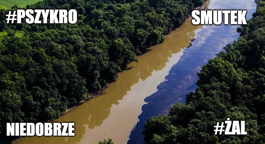 USA: prawie 40-kilometrowy strumień Jim Beama płynie rzeką Kentucky i zabija ryby