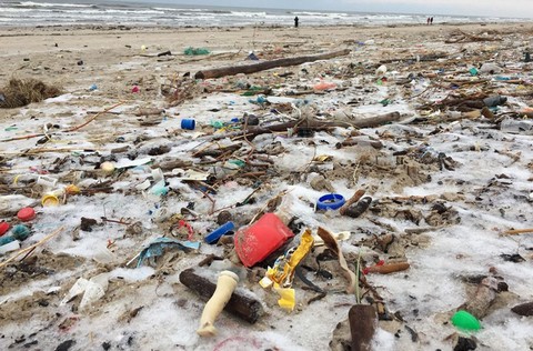 Bałtyk wyrzucił masę śmieci na plażę