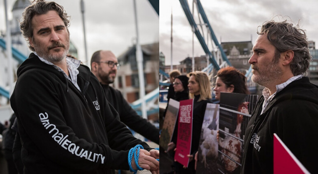 Joaquin Phoenix protestował na moście w Londynie, namawiał do przejścia na weganizm