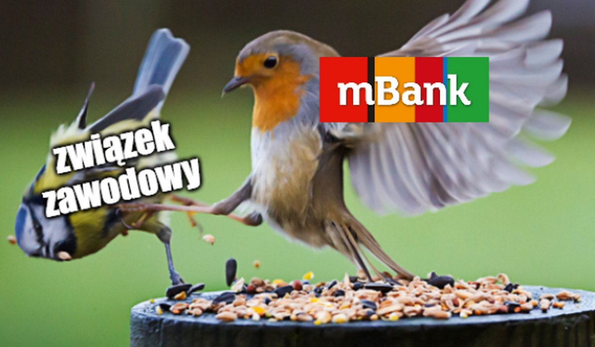 GW: mBank zwolnił szefa związku zawodowego, bo w ogóle powiedział, że taki istnieje
