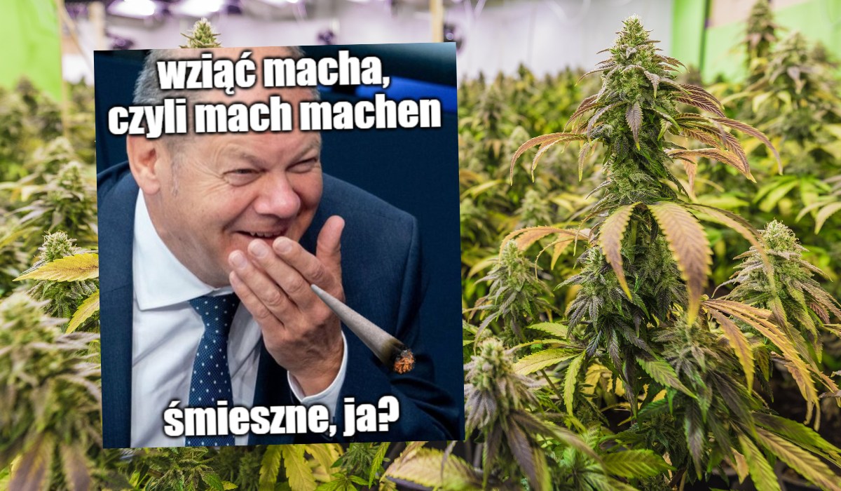 Niemcy świętują legalną marihuanę, od dzisiaj dorośli mogą sobie zapalić buszka kłębuszka
