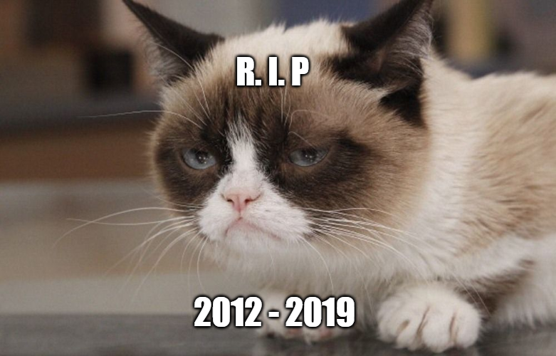 Grumpy Cat nie żyje :(