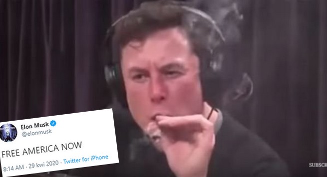 Musk żąda "uwolnienia Ameryki" i "oddania ludziom wolności"