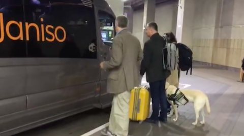 Kraków: kierowca nie chciał zabrać do autobusu niewidomego z psem