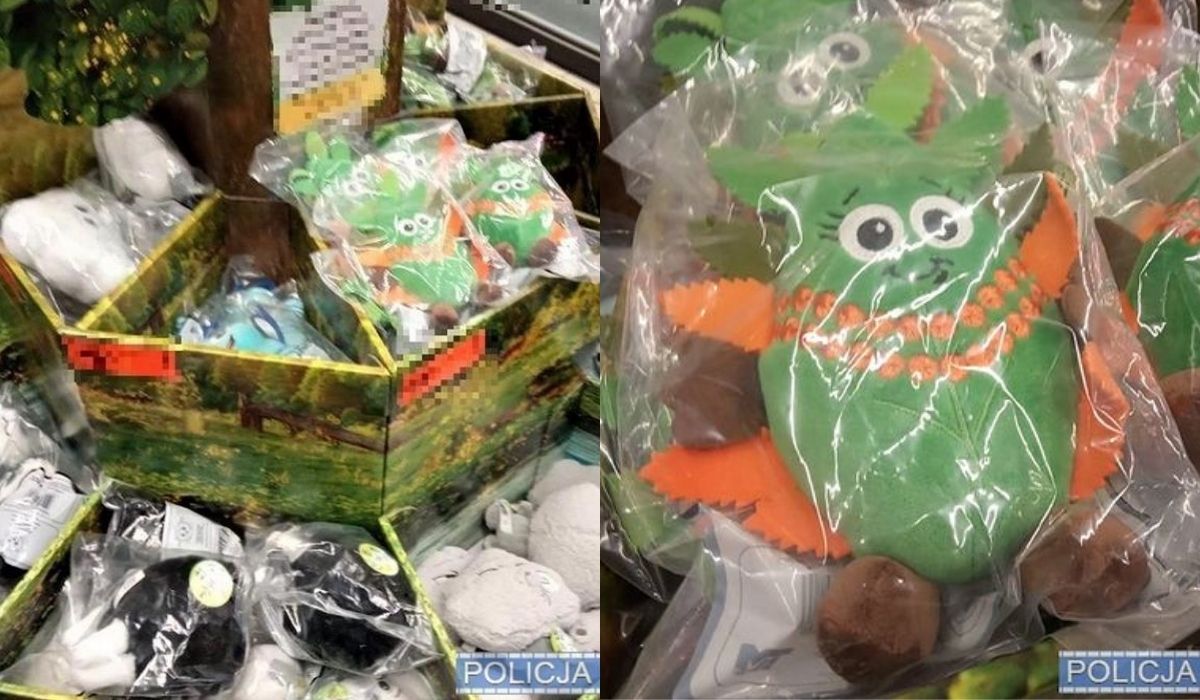 Wrocław: pracownicy Biedronki przyłapali złodzieja Fajniaków, grozi mu 5 lat więzienia