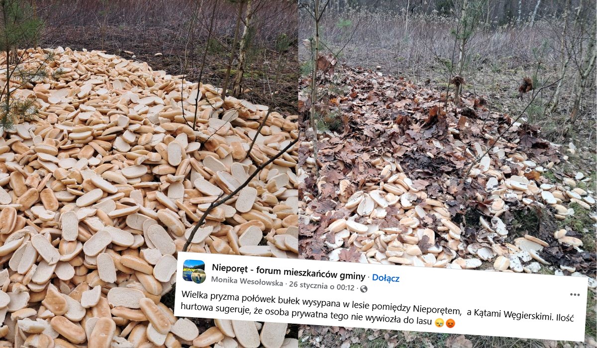 Ktoś usypał glutenową górę w lesie pod Warszawą, nagroda za znalezienie bułkowego sprawcy