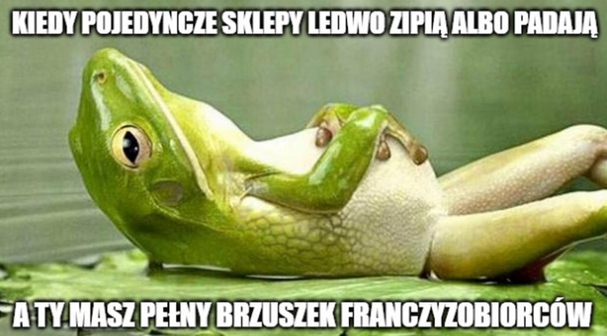 Żabka dzięki pandemii jeszcze przyśpieszyła ekspansję także poza miasta