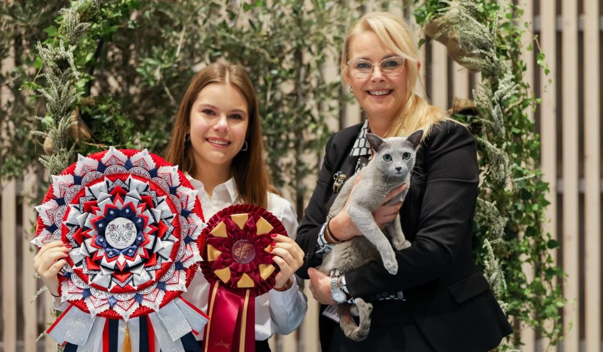 Kot Bacardi z Gdańska okazał się najpiękniejszym kotem świata, wygrywając Wystawę Światową w Norwegii