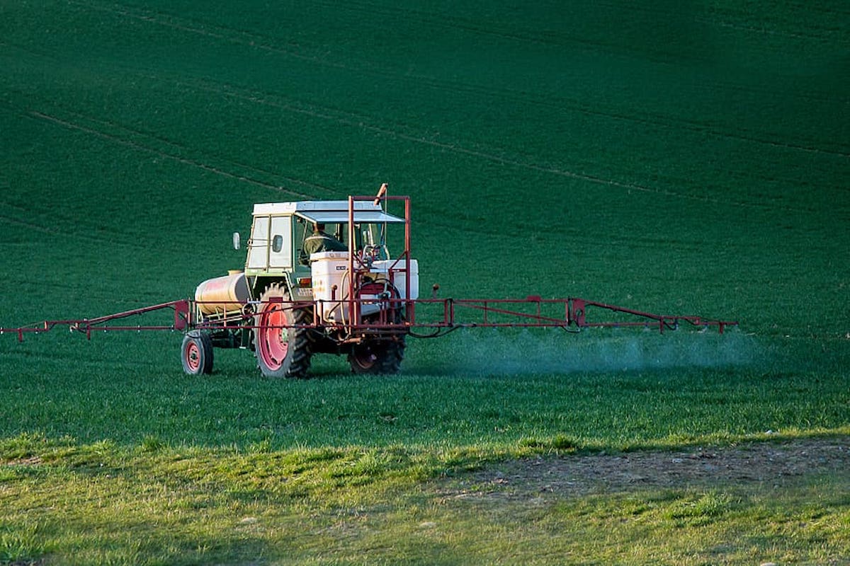 Meksyk ma zrezygnować całkowicie z glifosatu i uwolnić się od korporacji Monsanto