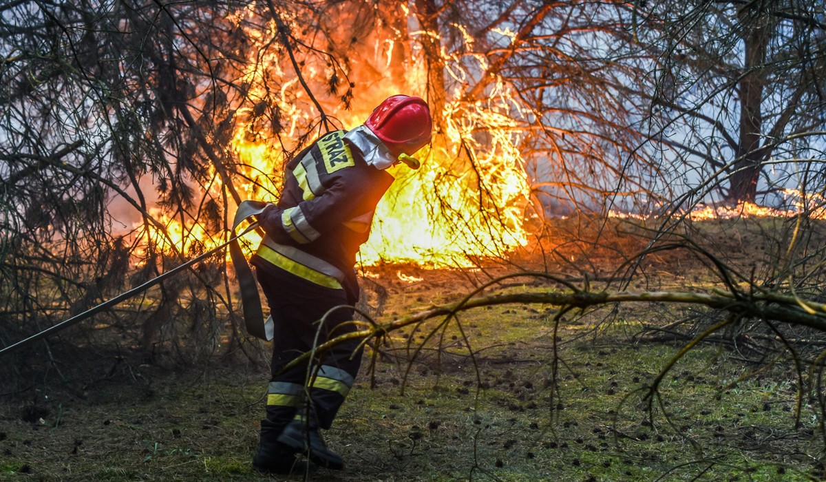Strażacy ledwo nadążają: w tym roku odnotowano już o 1,5 tys. więcej pożarów lasów niż w całym ubiegłym roku