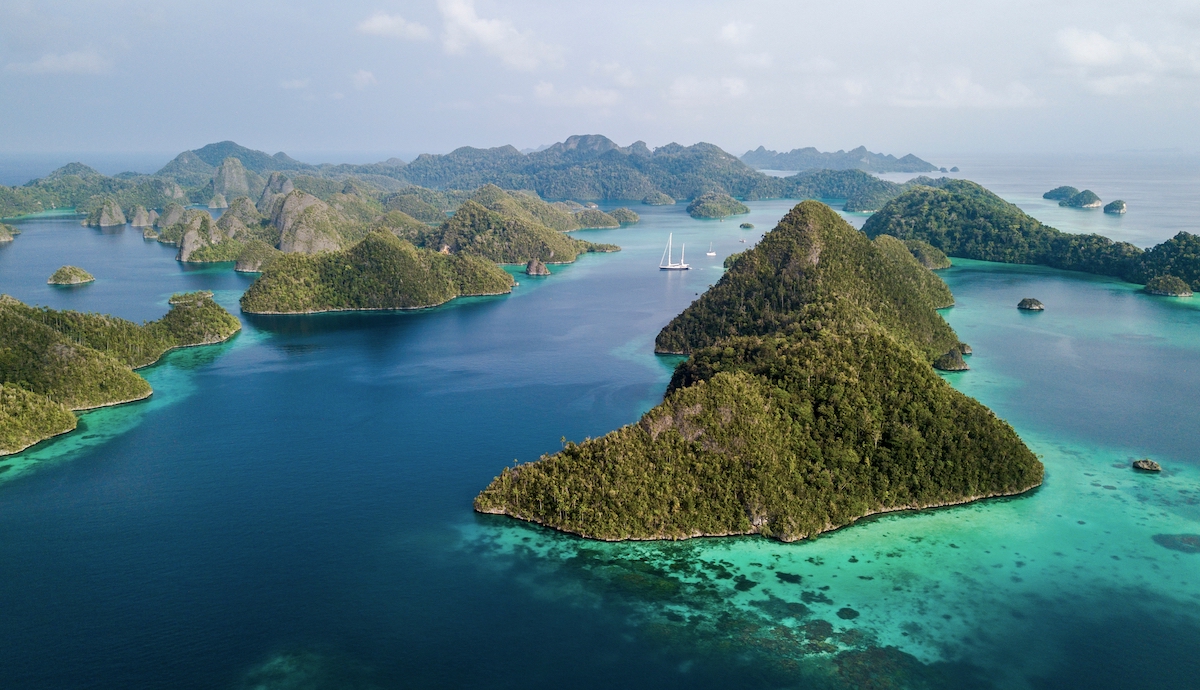 Stan planety na koniec 2022: 22 dobre wiadomości