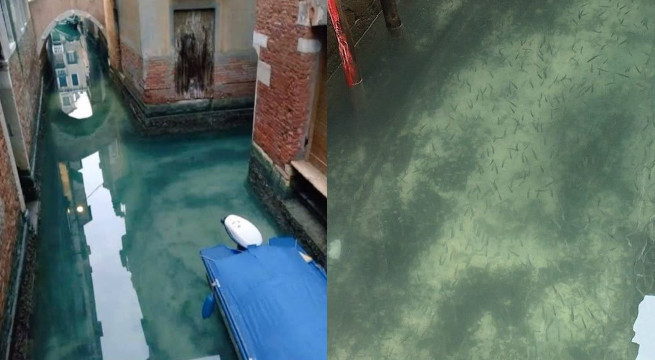 Wenecja: woda w kanałach zrobiła się czysta, widać ryby i w ogóle jakoś inaczej