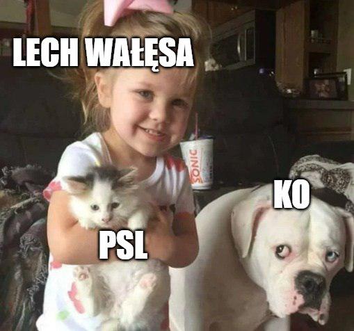Wałęsa apeluje o głosowanie na PSL. PSL: nie zabiegaliśmy o ten głos