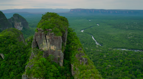 Stan planety na koniec 2018: 22 dobre wiadomości