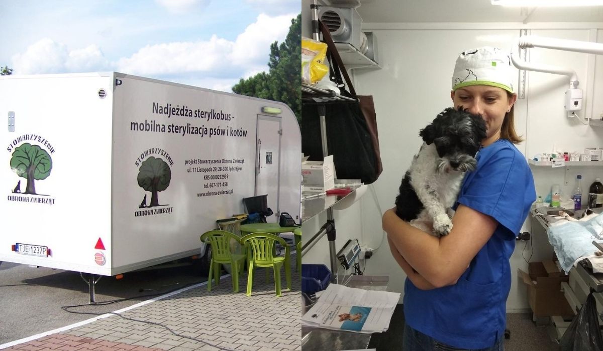 Po Polsce jeździ sobie Sterylkobus i robi dużo dobrej roboty