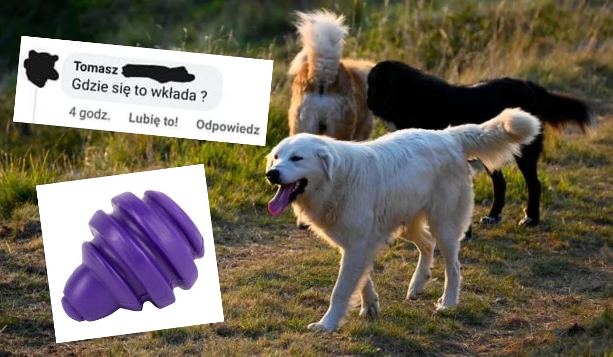 SOR apeluje, żeby nie wkładać sobie zabawek dla psów z Biedronki tam, gdzie nie trzeba