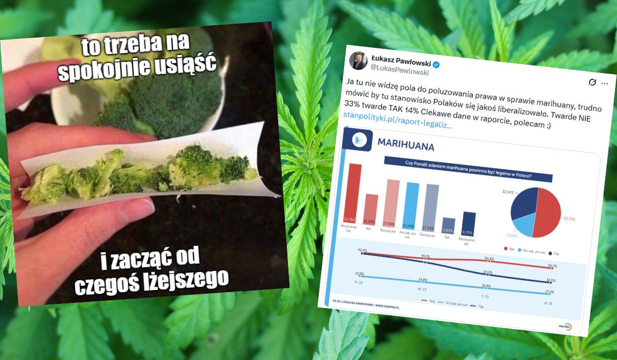 Badanie: większość Polaków ostrożnie podchodzi do legalizacji marihuany i na razie nie ma powszechnej zgody