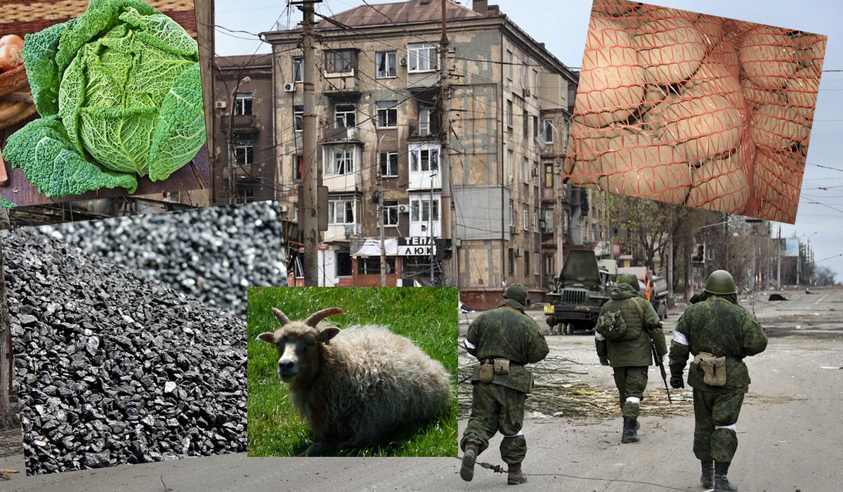 Syberia: władze Tuwy oferują rodzinom zmobilizowanych jedzenie i węgiel, a czasem nawet barana