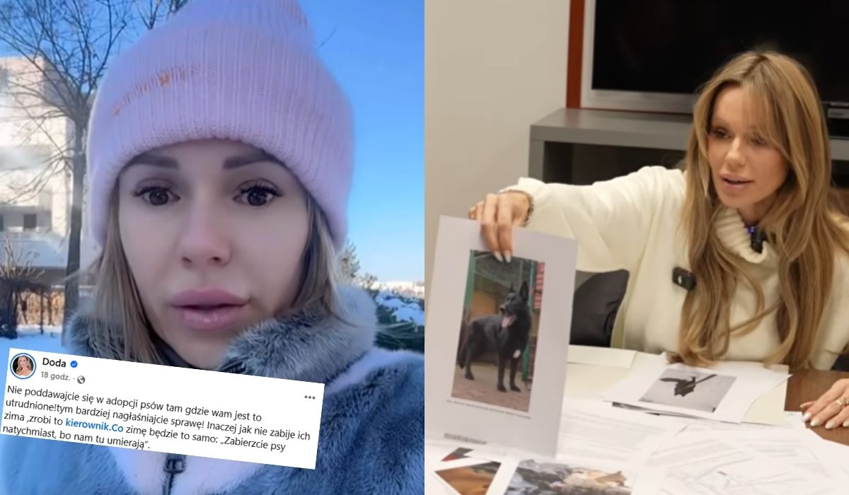 Doda stanęła na czele akcji przeciwko zarządowi schroniska w Bytomiu, oskarża o zaniedbania 