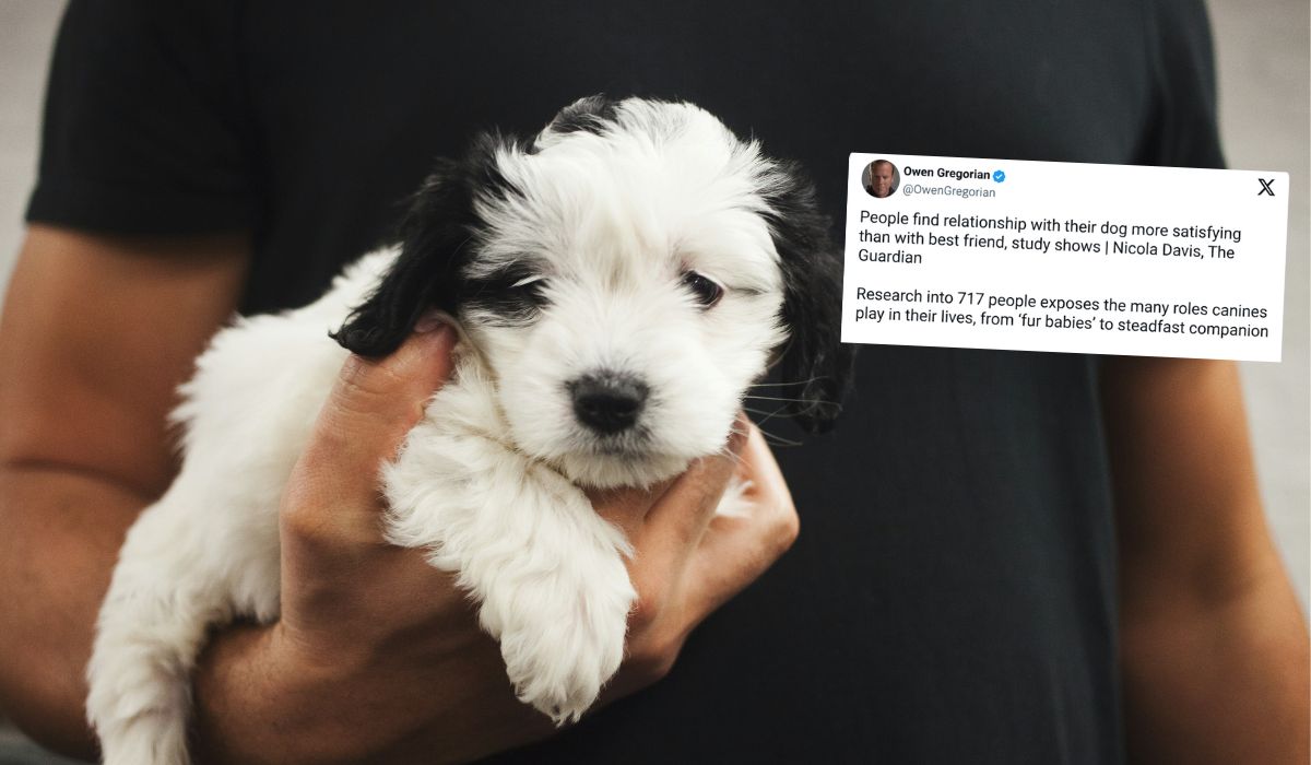 Badanie: coraz więcej osób ceni wyżej relacje z psem niż z przyjaciółmi
