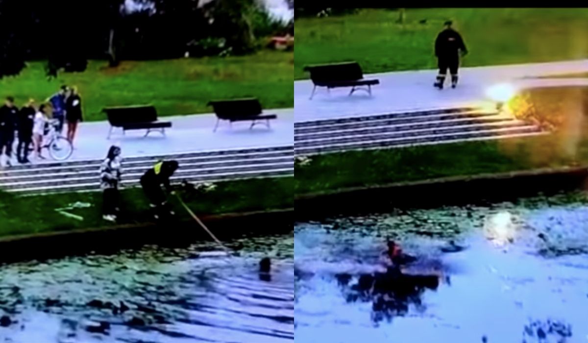 Nowy Dwór Gdański: jedna pani topiła kocięta, druga wskoczyła do wody i je uratowała