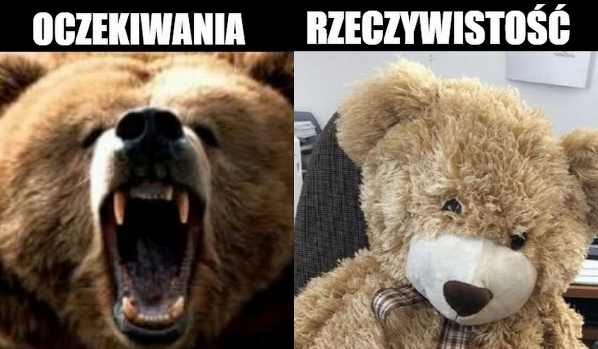 Grójec: policja otrzymała zgłoszenie o niedźwiedziu leżącym na jezdni, okazało się, że to pluszak