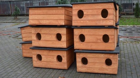 Miasto Chorzów rozdaje domki dla bezdomnych kotów